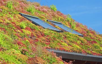 Sacriston living roof systems