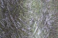 Sacriston fibreglass roof work